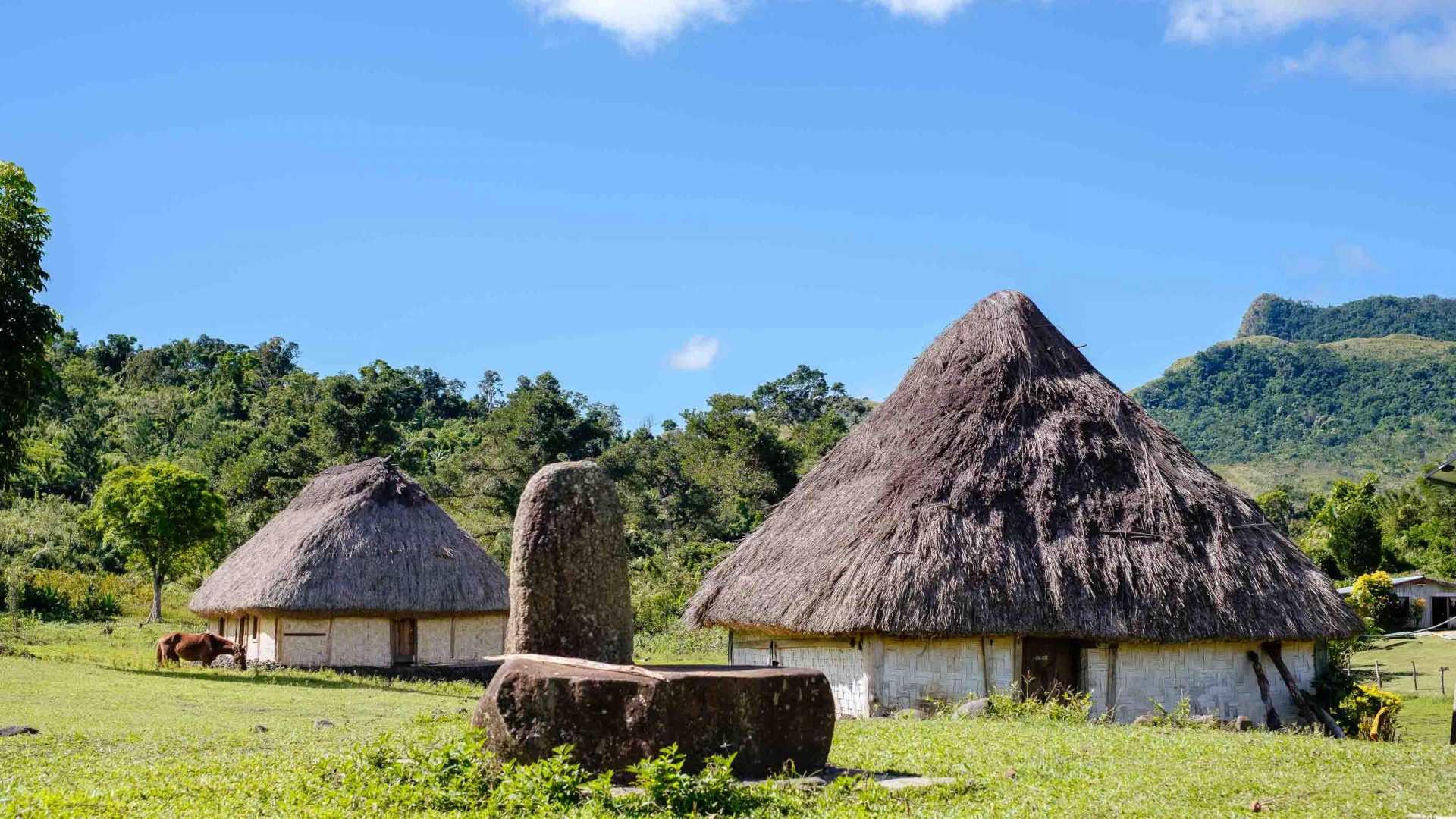Traditional bures in Nubutautau village